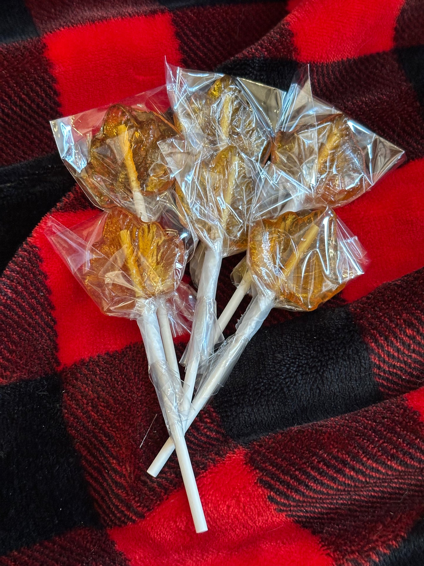 Maple suckers